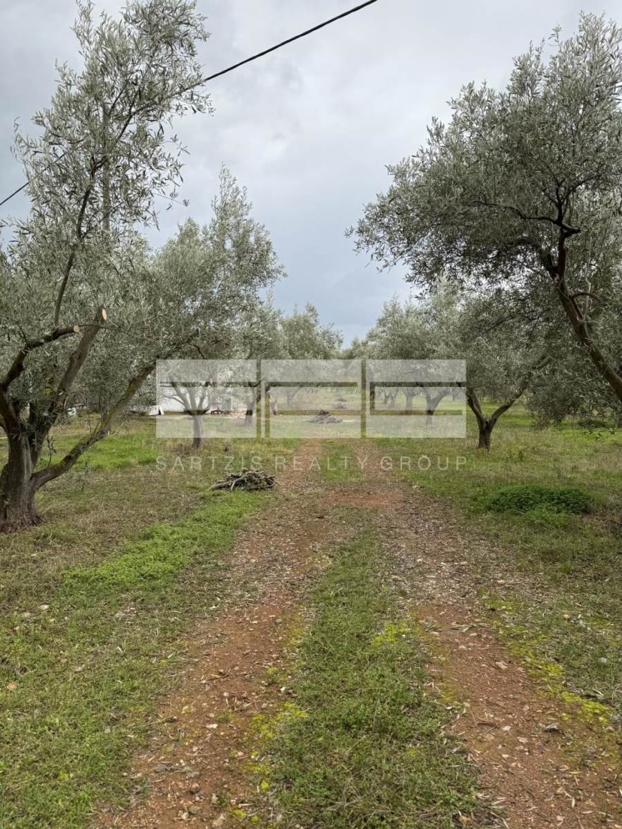 (Προς Πώληση) Αξιοποιήσιμη Γη Οικόπεδο || Ν. Εύβοιας/Ερέτρεια - 3.285 τ.μ, 87.000€ 