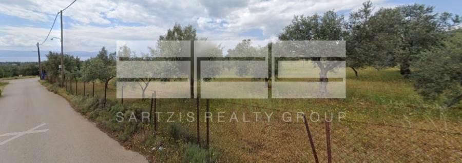 (For Sale) Land Plot || Evoia/Eretreia - 4.000 Sq.m, 120.000€ 