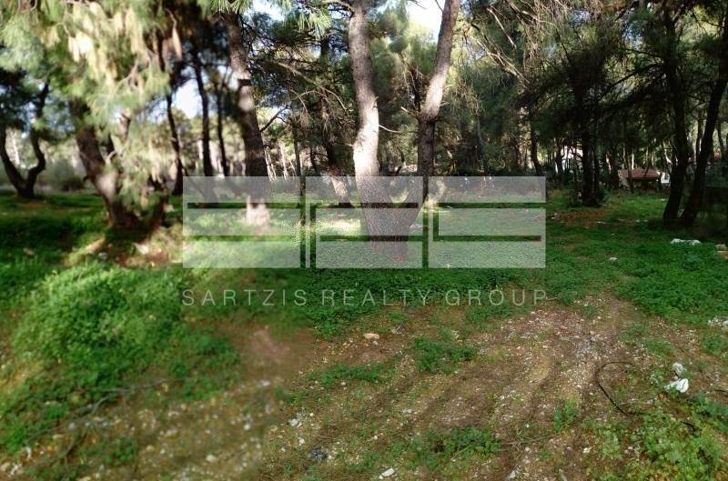 (Προς Πώληση) Αξιοποιήσιμη Γη Οικόπεδο || Ανατολική Αττική/Δροσιά - 1.150 τ.μ, 350.000€ 