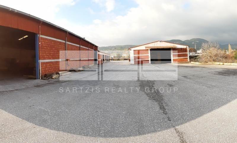 (For Sale) Commercial Warehouse || East Attica/Afidnes (Kiourka) - 2.700 Sq.m, 4 Bedrooms, 2.900.000€ 