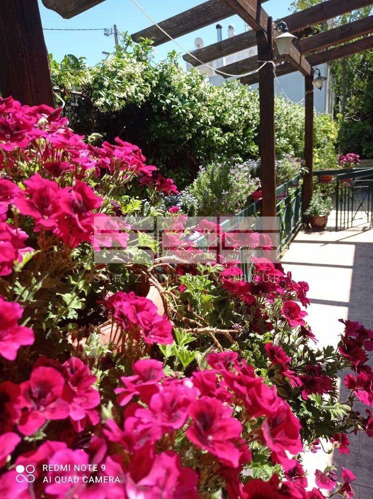 (For Sale) Residential Detached house || East Attica/Acharnes (Menidi) - 160 Sq.m, 3 Bedrooms, 270.000€ 